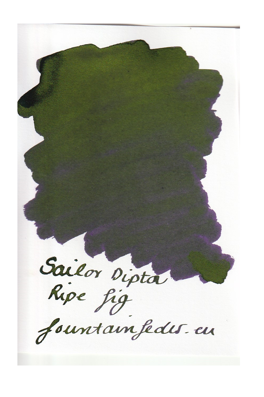 Sailor Dipton Ink - Ripe Fig Ink Sample 2ml Sailor Dipton Ink - Ripe Fig Ink Sample 2ml