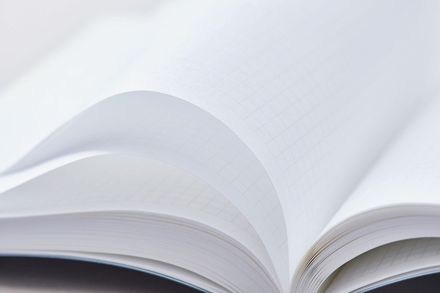 Stalogy 365 Days Notebook