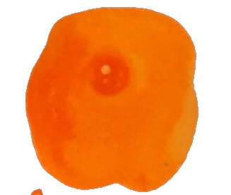 Octopus Neon Orange Ink Sample 2ml Octopus Neon Orange Ink Sample 2ml