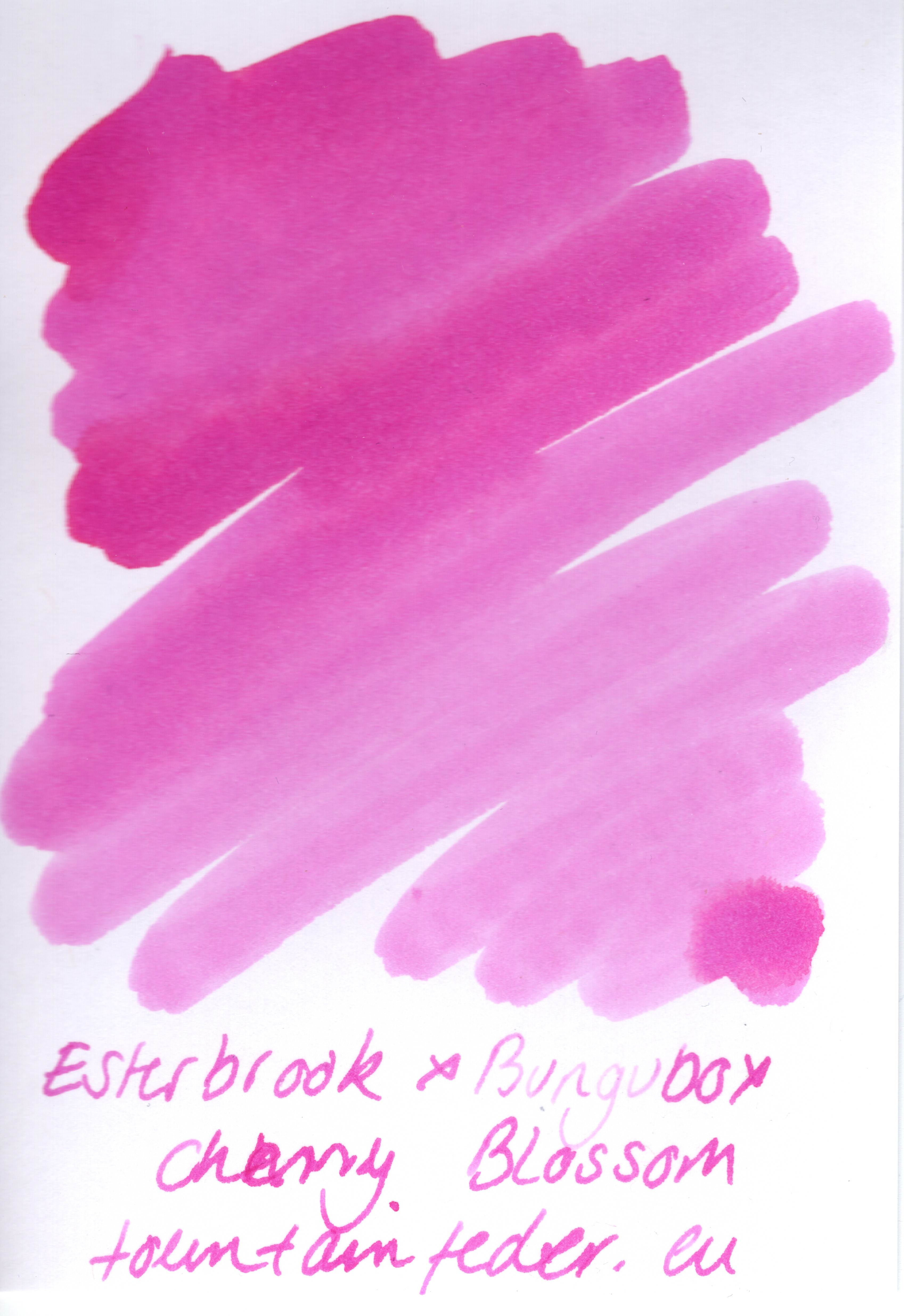 Esterbrook x Bungubox - Cherry Blossom Ink Sample 2ml