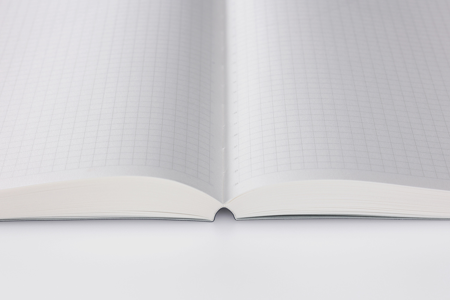 Stalogy 365 Days Notebook