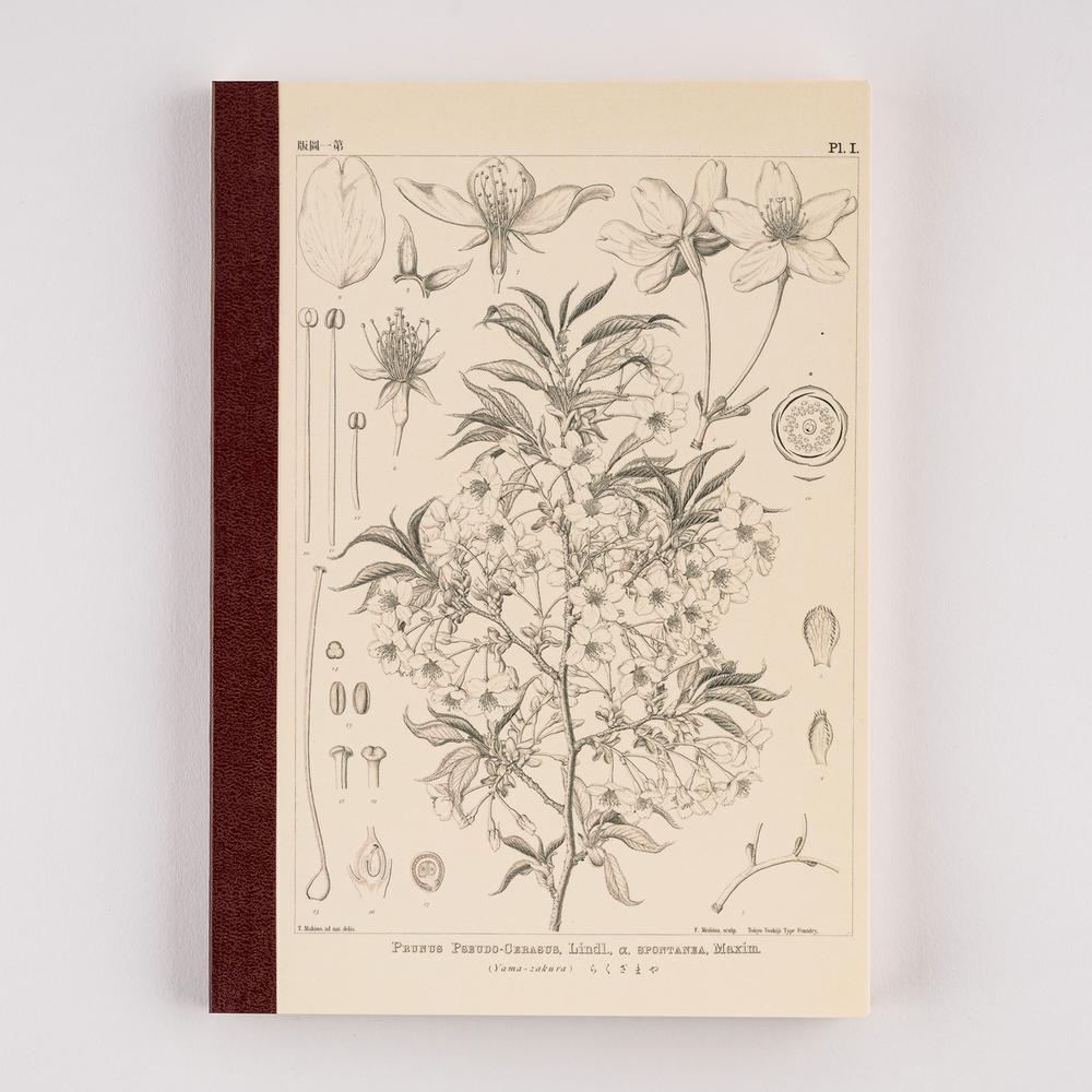 Hobonichi Tomitaro Makino Graph Notebook