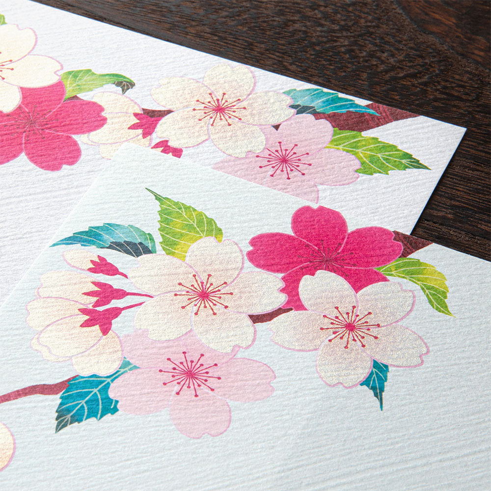 Midori Seasonal Stationery - Cherry Blossom