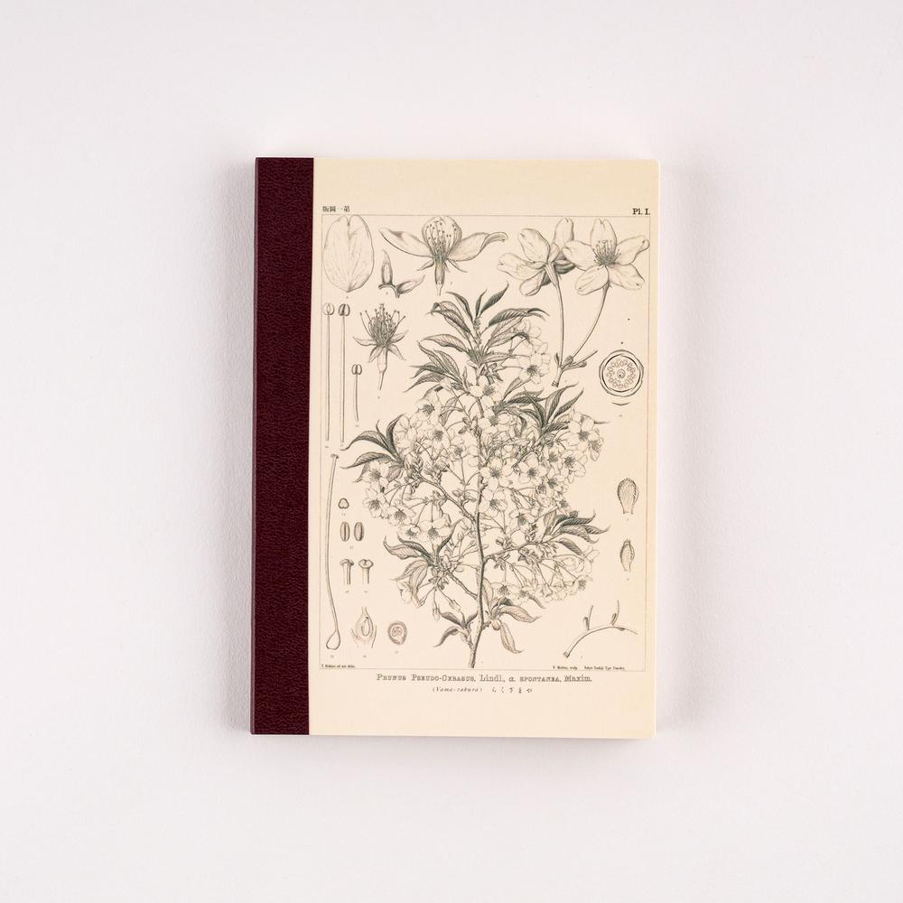 Hobonichi Tomitaro Makino Graph Notebook