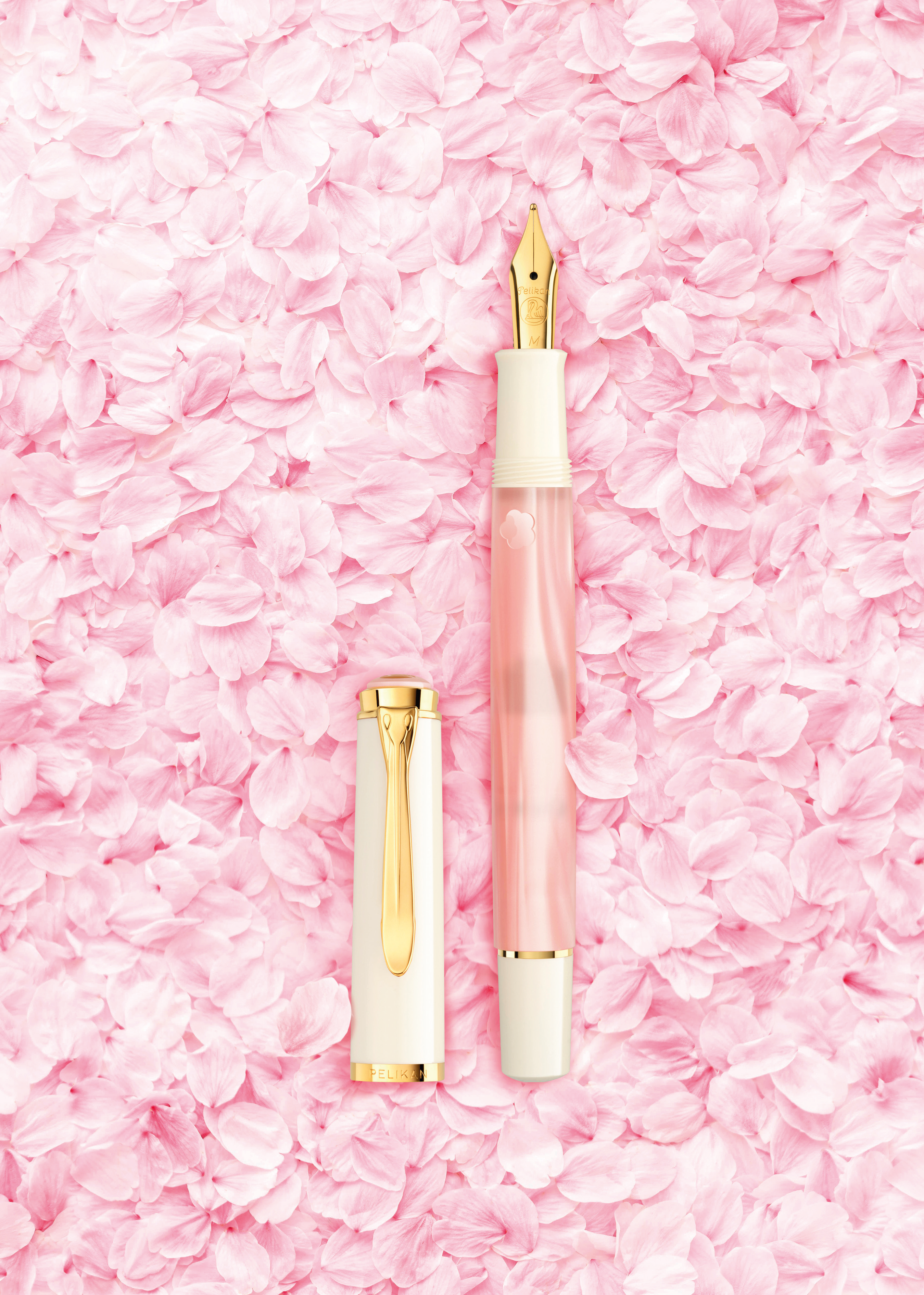 Pelikan Special Edition M200 Cherry Blossom