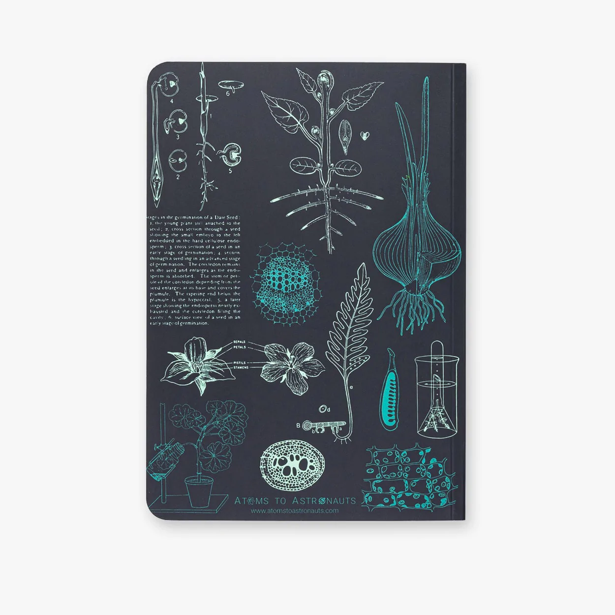 Atoms to Astronauts A5 Softcover